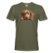 Pánské tričko s potlačou Labradorský retríver - tričko pre milovníkov psov