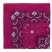 Art Of Polo Kids's Bandanna sz13914-25