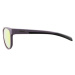 Alpina Sports NACAN II Unisex slnečné okuliare, tmavo sivá, veľkosť