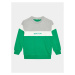 United Colors Of Benetton Mikina 3FPPC10DZ Zelená Regular Fit