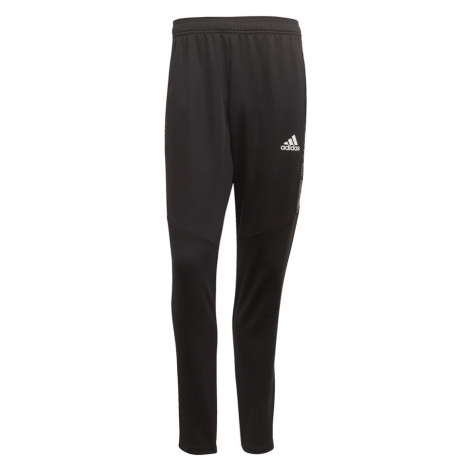 Pánske outdoorové nohavice Adidas