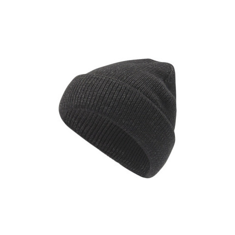 CRIVIT Dámska/Pánska pletená čiapka (čierna)