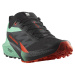 Salomon Sense Ride 5 Man L47698200