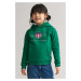 MIKINA GANT ARCHIVE SHIELD RAGLAN HOODIE WILD GREEN