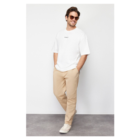 Trendyol Limited Edition Mink Regular Fit Pleated Detailed Soft Touch Chino Trousers