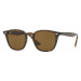 Ray-Ban RB4258 710/73 - ONE SIZE (50)