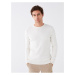 LC Waikiki Crew Neck Long Sleeve Men's Knitwear Sweater