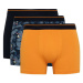 DEFACTO Regular Fit 3-pack Boxer