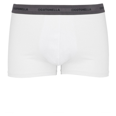 Pánske bavlnené boxerky 2 PACK výhodné balenie Cotonella