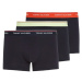 Tommy Hilfiger Man's Underpants UM0UM016420YZ Navy Blue