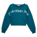 Calvin Klein Jeans  -  Mikiny Zelená