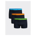 LC Waikiki Standard Mold Flexible Fabric Men's Boxer 3-Piece