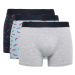 DEFACTO Regular Fit 3-Piece Boxer