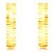 Náušnice zo žltého zlata 585 - úzke matné krúžky zdobené lesklými zárezmi