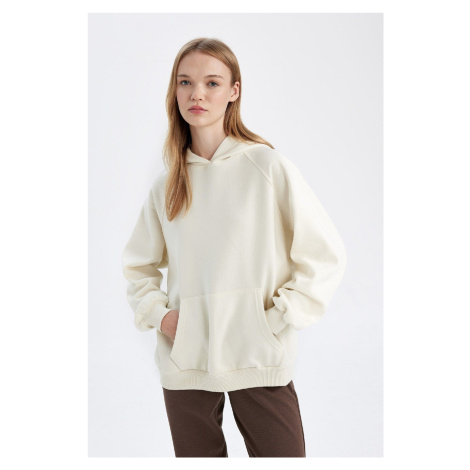 DEFACTO Oversize Wide Pattern Hooded Kangaroo Pocket Thick Basic Plain Sweatshirt