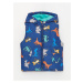 LC Waikiki Lw - Hooded Printed Baby Boy Inflatable Vest