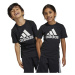 Detské bavlnené tričko adidas LK BL CO čierna farba, s potlačou