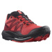 Salomon Pulsar Trail Man L41602900T