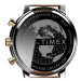 Timex Hodinky Chicago Chronograph 45mm TW2U39000 Hnedá