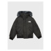 The North Face Zimné bundy Gotham NF0A7WP5 Čierna Regular Fit