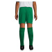 SOĽS San Siro Kids 2 Detské športové kraťasy SL01222 Bright green