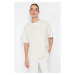 Trendyol Stone 100% Cotton Contrast Collar and Stripe Detail Oversize/Casual Fit Knitted T-Shirt