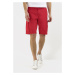 Šortky Camel Active Shorts Cargo Berry Red