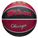 Wilson NBA Team City Edition Chicago Bulls