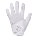 Women's Golf Glove Under Armour Women IsoChill Golf Glove