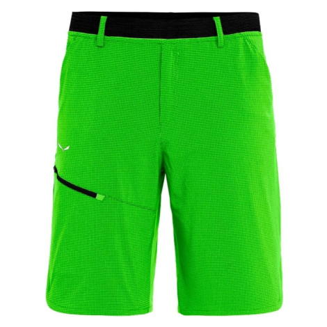 Men's Shorts Salewa Puez 3 Dst Pale Frog