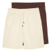 Trendyol Brown-Stone Basic Regular/Normal Fit Plain 2-Pack Shorts