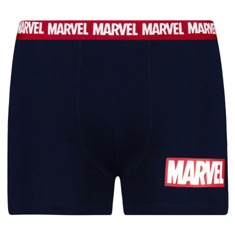 Pánske boxerky Marvel - Frogies