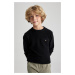 DEFACTO Boy's Crew Neck Knitwear Sweater