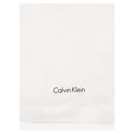 Pánské tričko model 15890074 100 3pk bílá bílá/tisk - Calvin Klein
