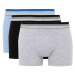 DEFACTO Regular Fit 3-Piece Boxer