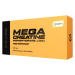 Scitec Nutrition Mega Creatine Monohydrate 1320 120 kapsúl