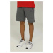 Lumberjack M-CT101 BSC PES SHORT 3FX ANTHRACITE KATYONK Man 337