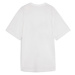 PUMA Funkčné tričko 'EVOSTRIPE'  kamenná / biela