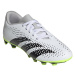 Topánky adidas Predator Accuracy.4 FxG Jr IE9434