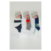 Ponožky ACTIVE směs barev SMÍŠENÉ