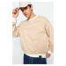 Trendyol Beige Oversize/Wide Cut Striped Fleece Inside/Warm Sweatshirt