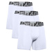 Under Armour UA CHARGED COTTON 6IN 3 PACK Pánske boxerky, biela, veľkosť