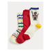 Polo Ralph Lauren Súprava 3 párov vysokých dámskych ponožiek 455898867001 Farebná