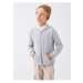 LC Waikiki Lcw Hooded Basic Long Sleeve Boy's Knitwear Cardigan