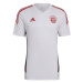 Pánske tréningové tričko FC Bayern M HB0621 white - Adidas