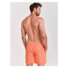 Shiwi Plavecké šortky 'Oasis'  svetlozelená / oranžová / čierna / biela