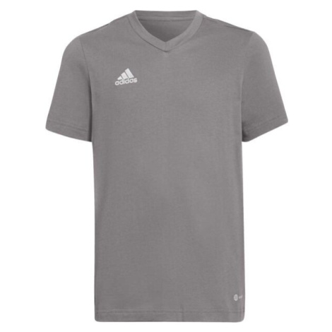 adidas ENT22 TEE Pánske tričko, sivá, veľkosť