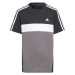 ADIDAS PERFORMANCE Funkčné tričko 'Tiberio'  sivá / čierna / biela