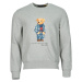 Polo Ralph Lauren  SWEATSHIRT COL ROND POLO BEAR RALPH LAUREN  Mikiny Šedá