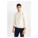 DEFACTO Standard Fit Crew Neck Knitwear Sweater